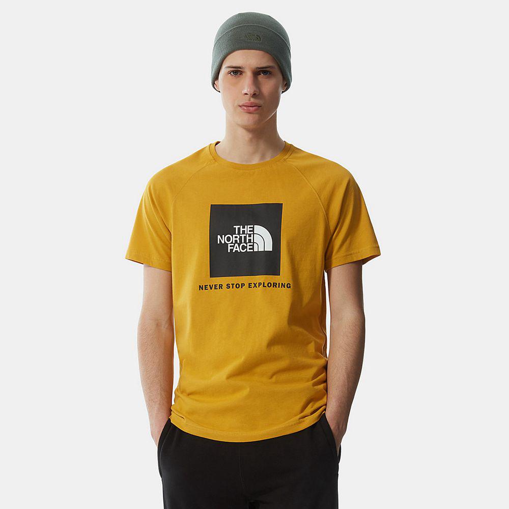 The North Face Raglan Redbox Ανδρικα T Shirt - Κίτρινα (WNID19583)
